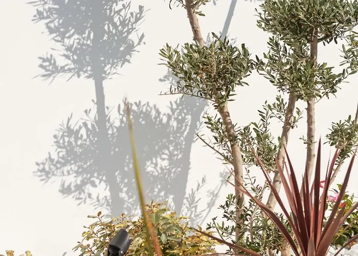 Sunprime - Adults Only 4* Протарас